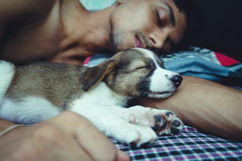 Shirtless man sleeps alongside a cute puppy. Both look comfortable and cozy.